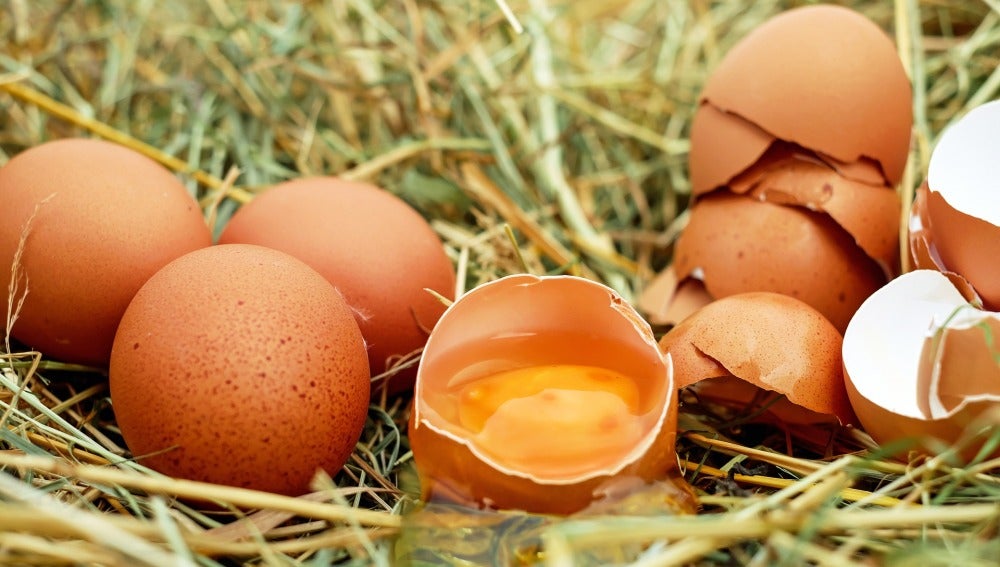Huevos, imagen de archivo