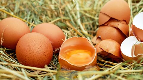 Huevos, imagen de archivo