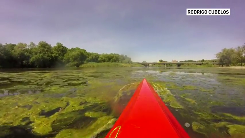 Continúan a la baja los niveles de las Cuencas del Guadiana y del Tajo Continúan a la baja los niveles de las Cuencas del Guadiana y del Tajo