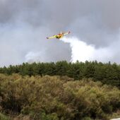  Trabajos de extinción del incendio en el municipio abulense de Navarredonda de Gredos