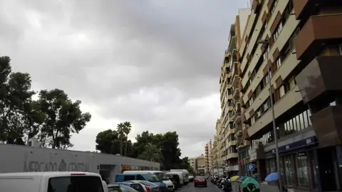 Elche. Elche.