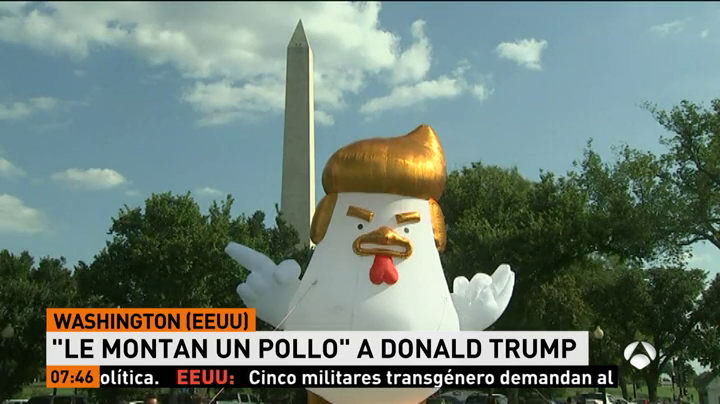 Instalan un pollo que imita a Donald Trump frente a la Casa Blanca Instalan un pollo que imita a Donald Trump frente a la Casa Blanca