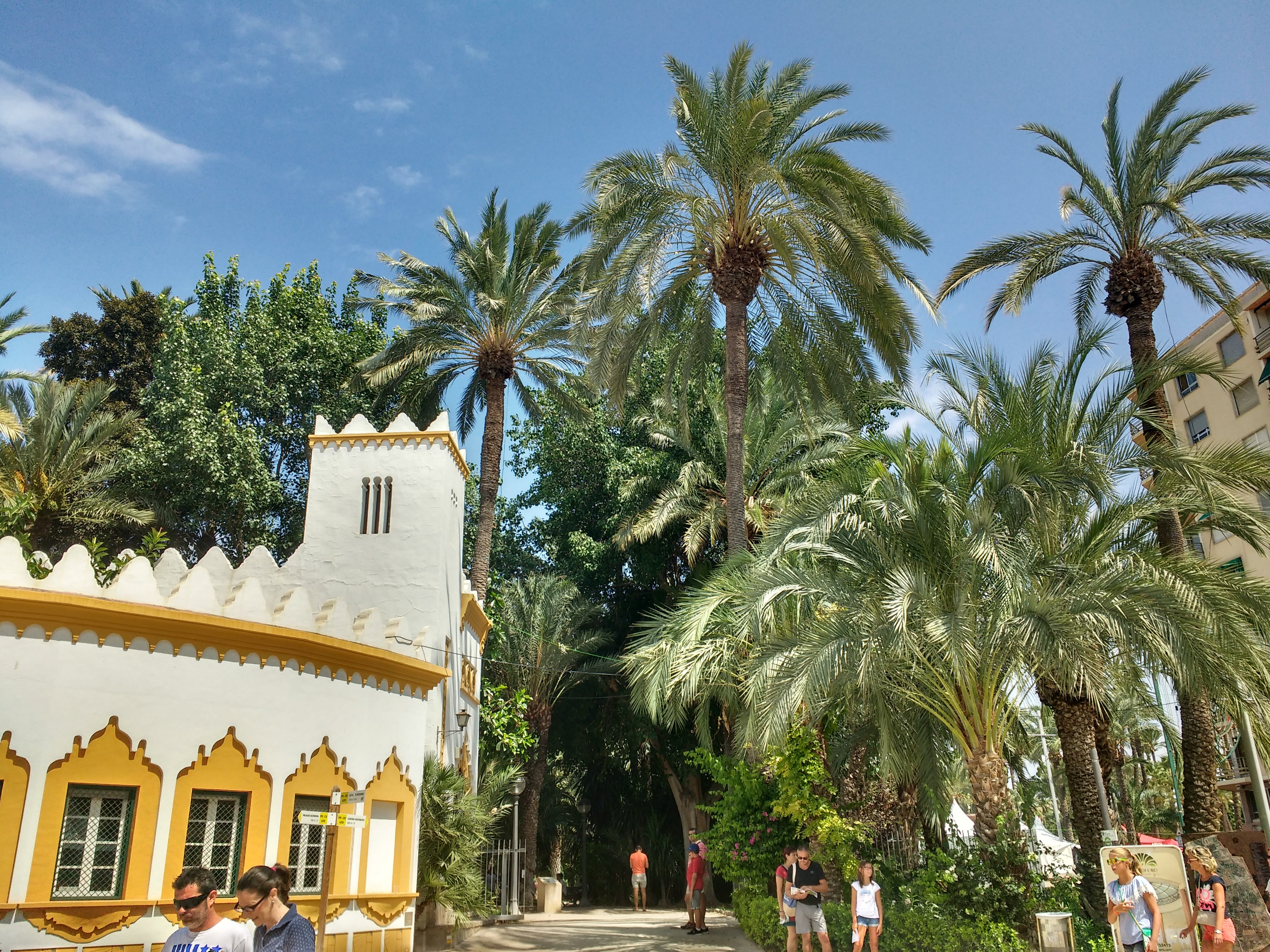 Las palmeras del Huerto del Carmen se van a tratar con el hongo Beauveria Bassiana Las palmeras del Huerto del Carmen se van a tratar con el hongo Beauveria Bassiana