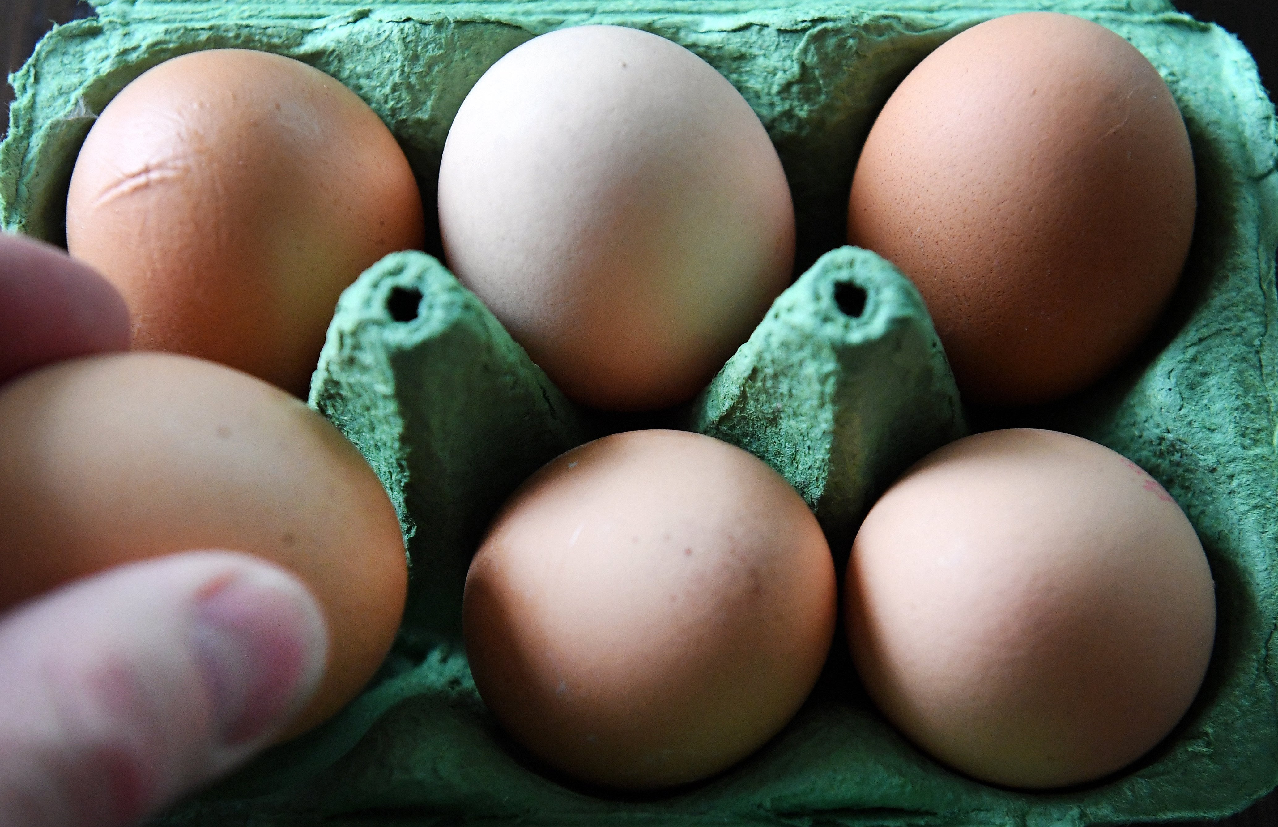 El escándalo del fipronil afecta a 17 países europeos El escándalo del fipronil afecta a 17 países europeos