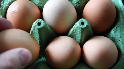 Los huevos contaminados han llegado a Ruman&iacute;a