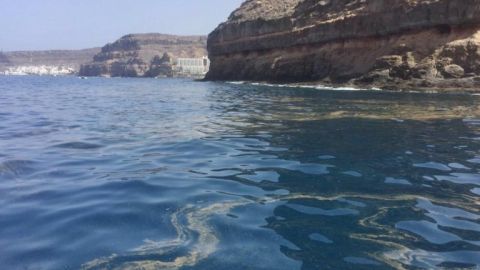 Microalgas en las costas de Canarias