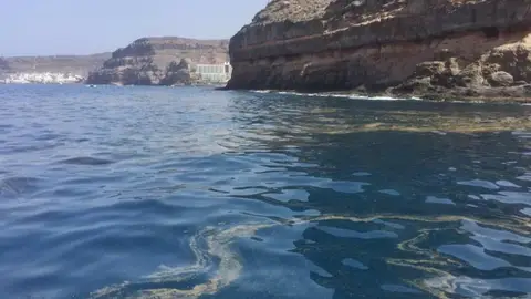 Microalgas en las costas de Canarias Microalgas en las costas de Canarias