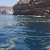 Microalgas en las costas de Canarias