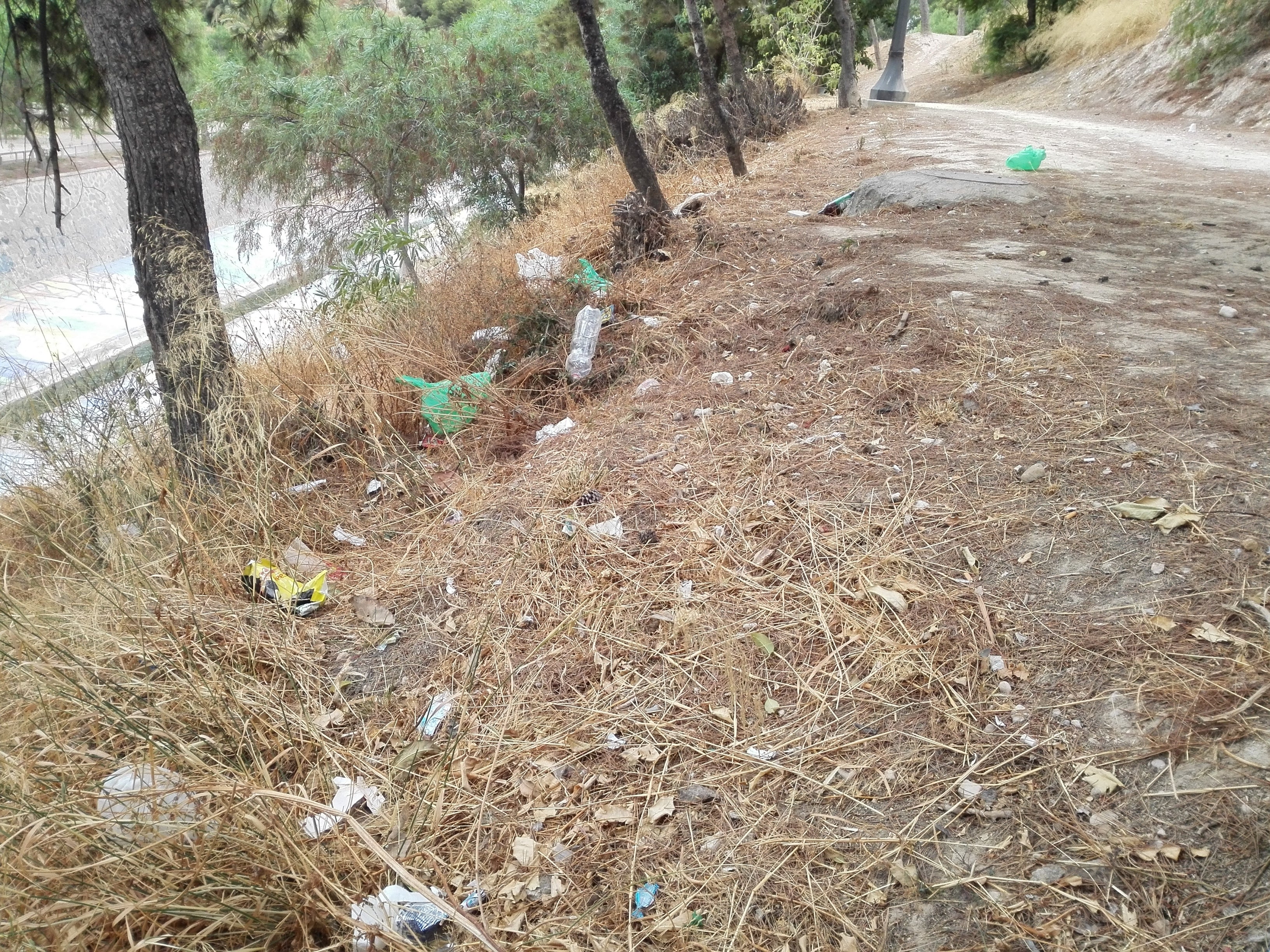 Ilicitanos por Elche pide la limpieza de la ladera del río para minimizar el riesgo de incendio Ilicitanos por Elche pide la limpieza de la ladera del río para minimizar el riesgo de incendio
