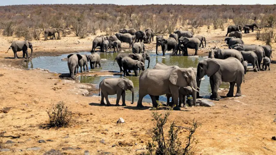 Imagen por Marina Cano, fotógrafa de fauna salvaje. fauna salvaje
