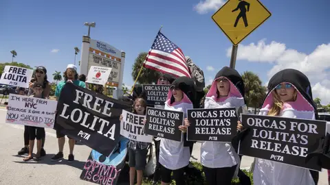 Varios manifestantes protestan junto al Seaquarium de Miami para pedir que liberen a la orca Lolita Varios manifestantes protestan junto al Seaquarium de Miami para pedir que liberen a la orca Lolita