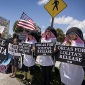 Varios manifestantes protestan junto al Seaquarium de Miami para pedir que liberen a la orca Lolita