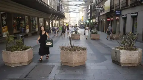 Maceteros en Madrid Maceteros en Madrid