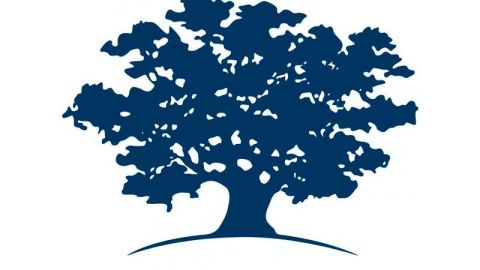 Emprendedores sociales de Ashoka