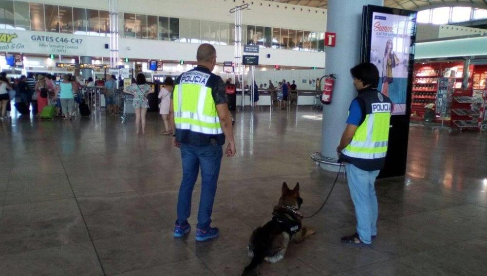 Agentes de la Policía Nacional en el Aeropuerto de Alicante-Elche