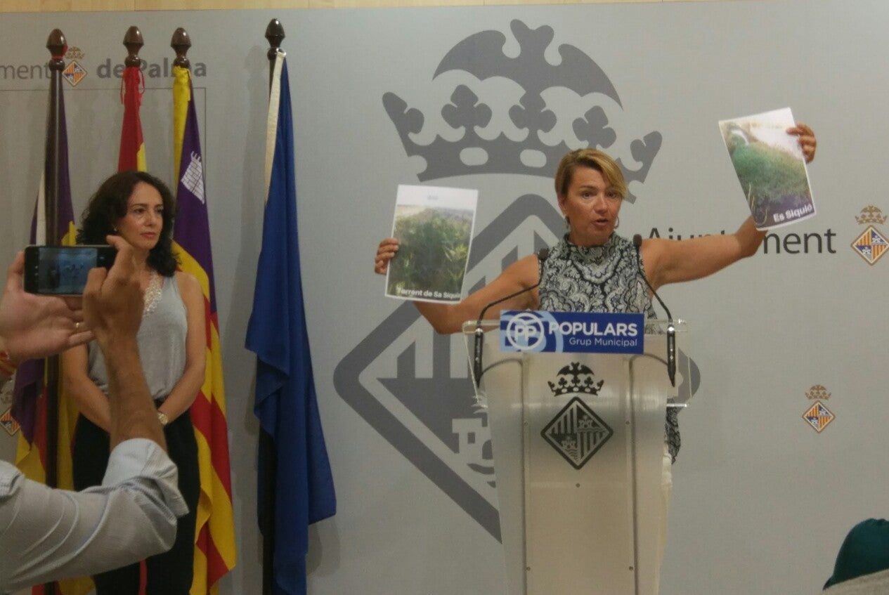 Durán advierte del estado de los torrentes del Pla de Sant Jordi y el Siquió y exige a Emaya su limpieza inmediata Durán advierte del estado de los torrentes del Pla de Sant Jordi y el Siquió y exige a Emaya su limpieza inmediata