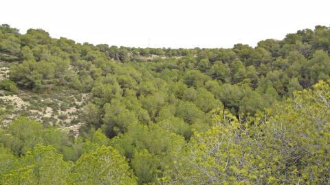 Sierra de Santa Pola