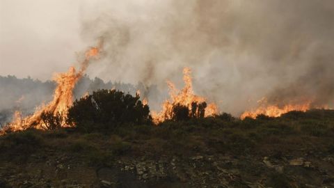 Incendio en Encinedo, Le&oacute;n
