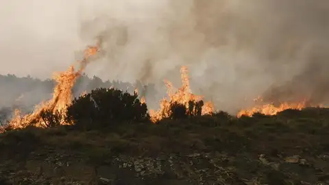 Incendio en Encinedo, León Incendio en Encinedo, León