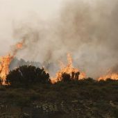 Incendio en Encinedo, León