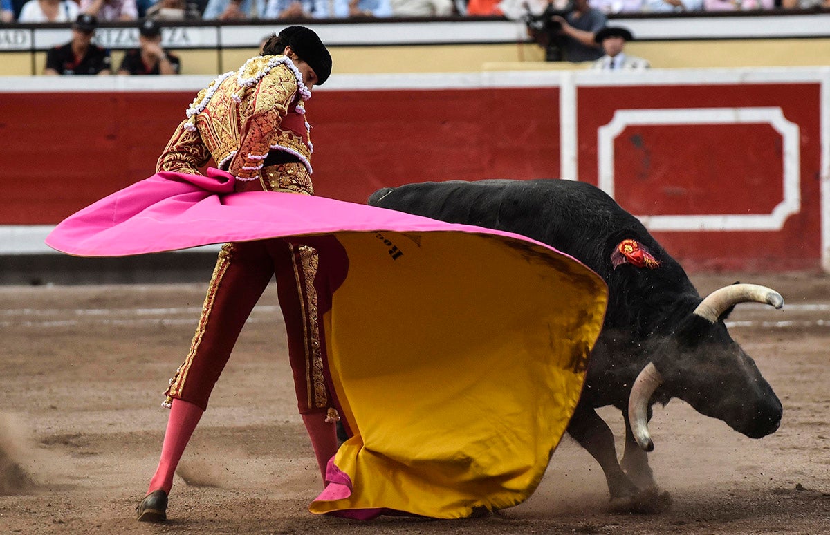 Rubén Amón indulta a Roca Rey: "Ha cuajado Roca en el heredero de José Tomás" Rubén Amón indulta a Roca Rey: "Ha cuajado Roca en el heredero de José Tomás"