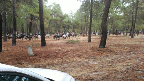 Cuellar