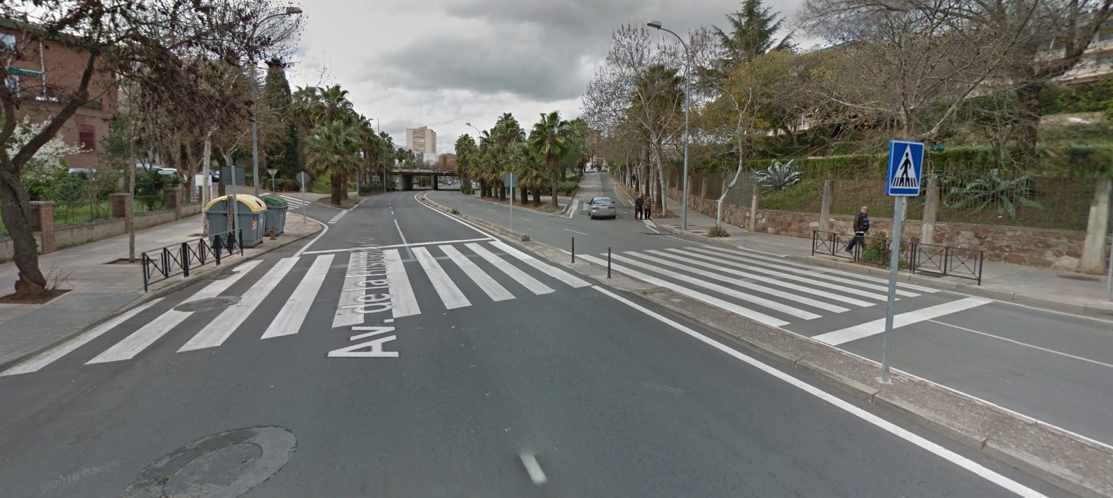 Cáceres es la ciudad con más árboles por habitante de España, con uno por cada dos vecinos Cáceres es la ciudad con más árboles por habitante de España, con uno por cada dos vecinos