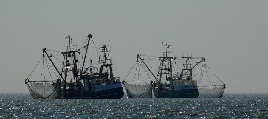 Barcos pesqueros Barcos pesqueros