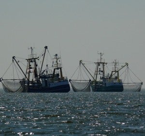 Barcos pesqueros Barcos pesqueros