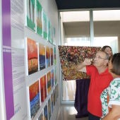 La exposición de los trabajos hechos por enfermos de alzheimer se han ubicado el pasillo de consultas externas del hospital del Vinalopó.
