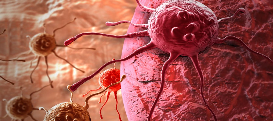 Célula cancerosa Célula cancerosa