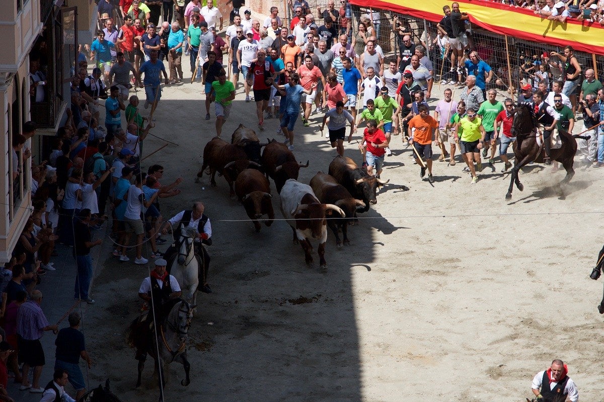 La Agència Valenciana del Turisme emitirá a través de Facebook Live Video la Entrada de Toros y Caballos de Segorbe La Agència Valenciana del Turisme emitirá a través de Facebook Live Video la Entrada de Toros y Caballos de Segorbe