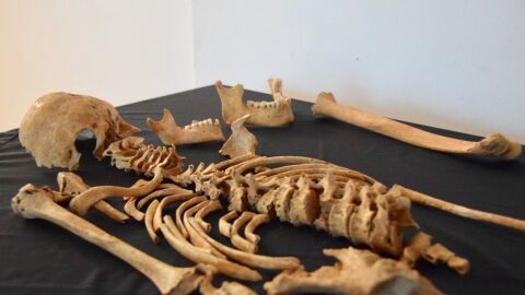Restos humanos encontrados en la excavaci&oacute;n