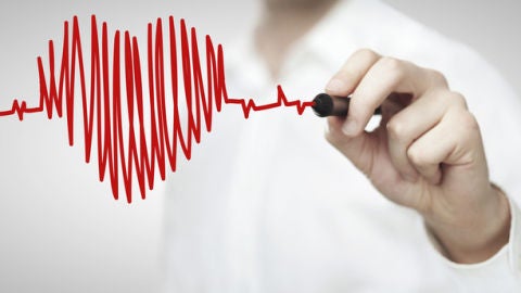 Descubierto el mecanismo que situa el corazon a la izquierda