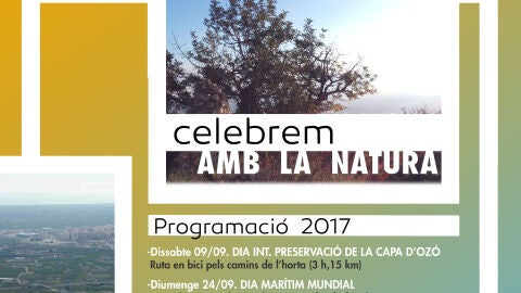 Cartel de la actividad.