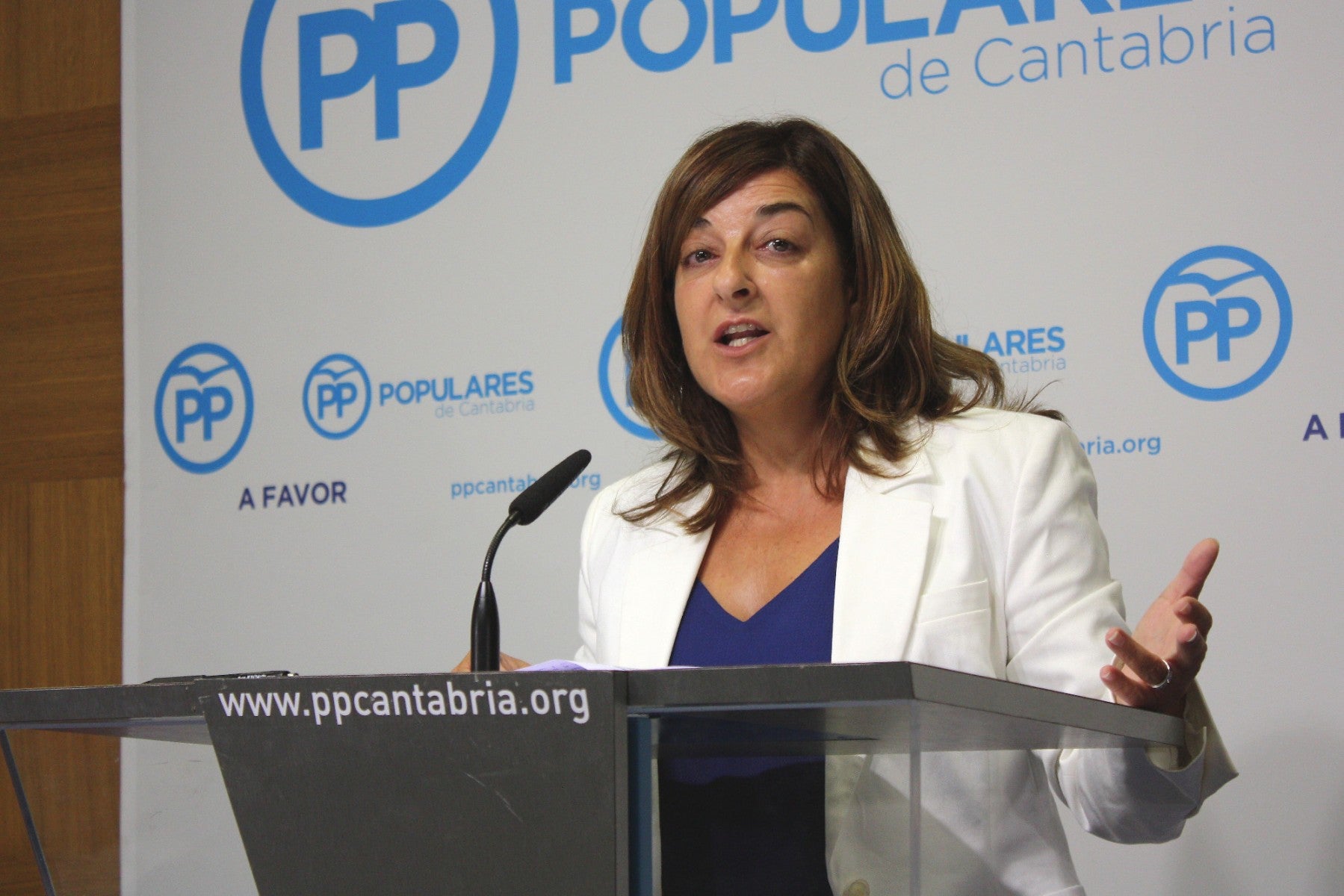 El PP ve "más injusto" lo que ocurre en Parlamento con Carrancio que el Ayuntamiento de Santander con González y Vielva El PP ve "más injusto" lo que ocurre en Parlamento con Carrancio que el Ayuntamiento de Santander con González y Vielva