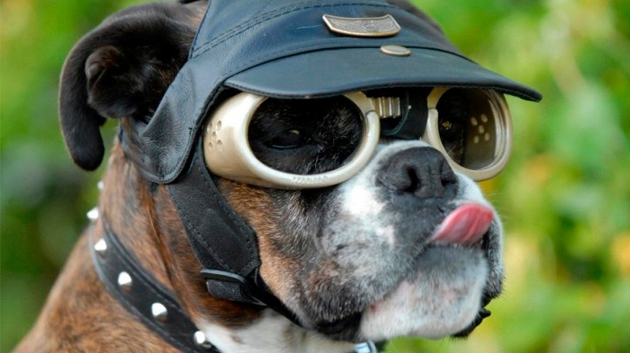 ¿Cuáles son los inventos absurdos que más facturan? ¿Cuáles son los inventos absurdos que más facturan?