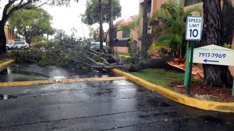 El hurac&aacute;n Irma llega a Florida