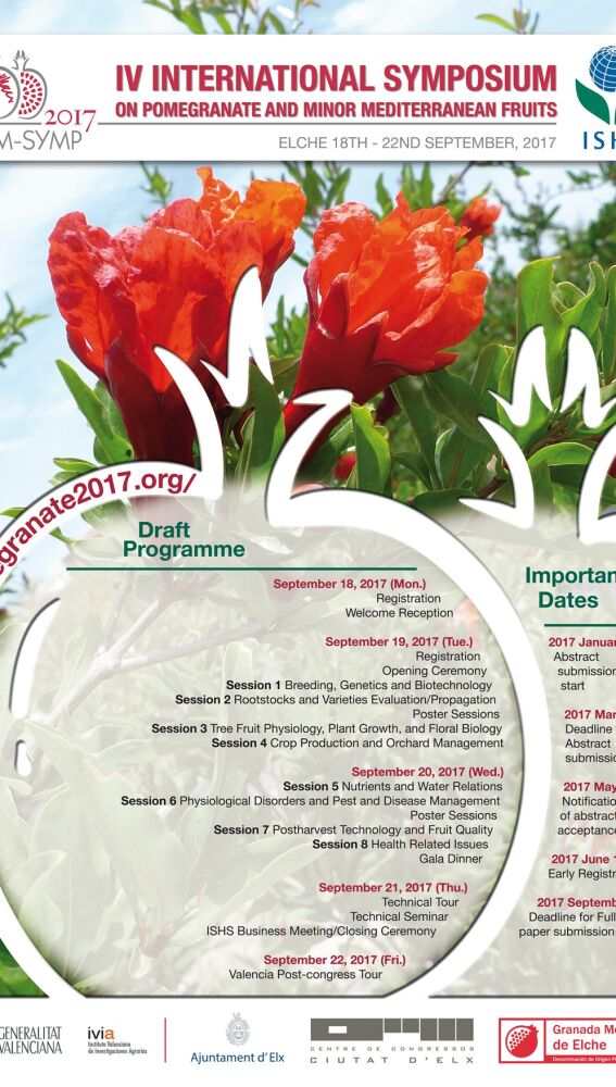 Cartel del IV Simposio Internacional de la Granada que se va a celebrar en Elche