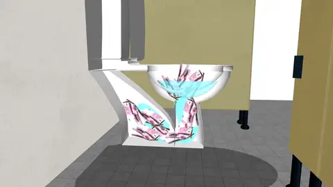 Hallan decenas de billetes de 500 euros rotos y taponando varios retretes de un banco y de varios restaurantes de Ginebra Hallan decenas de billetes de 500 euros rotos y taponando varios retretes de un banco y de varios restaurantes de Ginebra