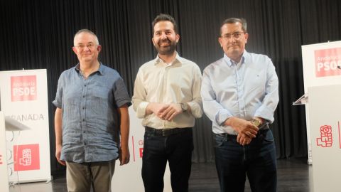 Primarias psoe