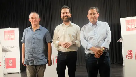Primarias psoe Primarias psoe