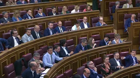 El PSOE impide que el Congreso cierre filas con el Gobierno ante el referéndum del 1-O El PSOE impide que el Congreso cierre filas con el Gobierno ante el referéndum del 1-O