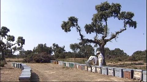 Las consecuencias de la sequ&iacute;a empiezan a notarse en el campo y en ciertos negocios.