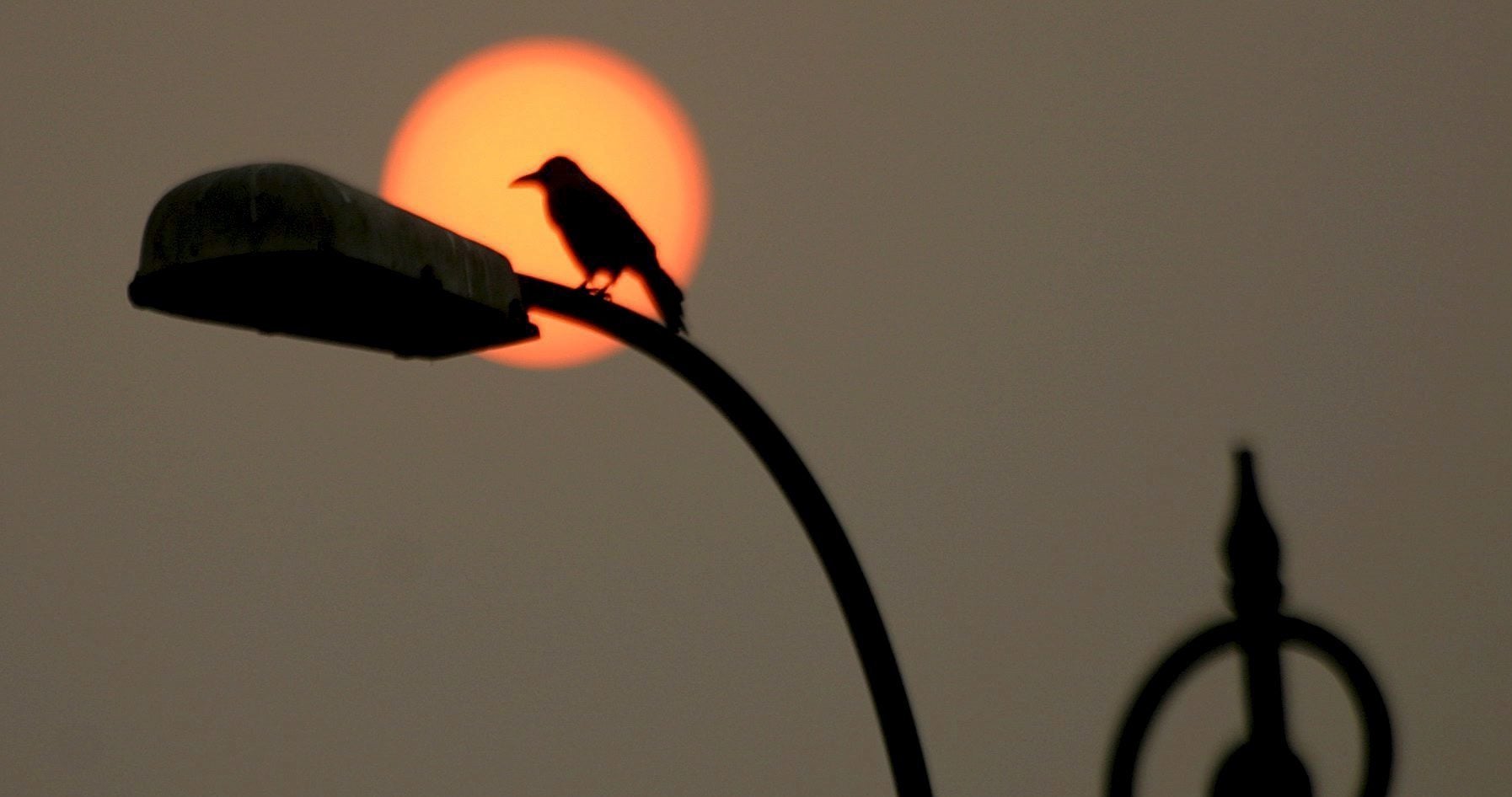 Gijón trabaja para acabar con los "espacios del miedo" Gijón trabaja para acabar con los "espacios del miedo"