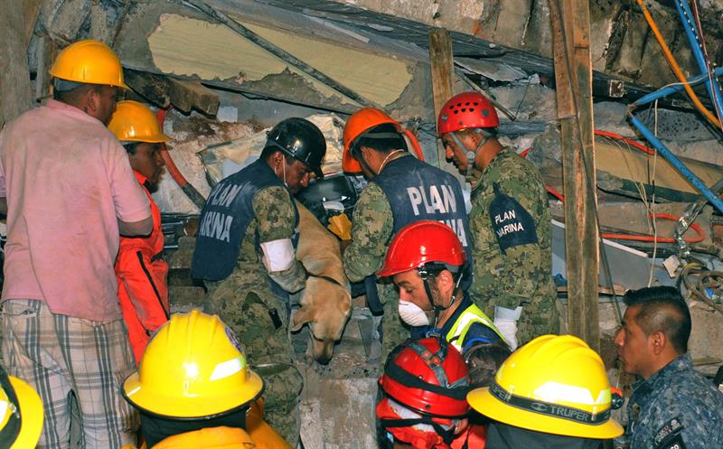 Aumenta a 307 la cifra de muertos a causa del terremoto en México Aumenta a 307 la cifra de muertos a causa del terremoto en México