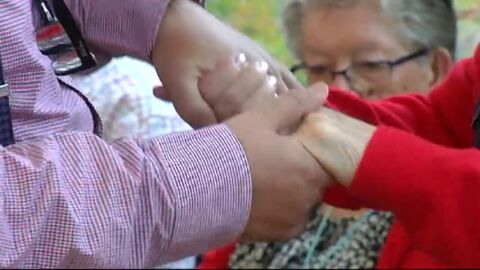 Una de cada seis personas mayores de 65 años padece Alzheimer. De momento no tiene cura pero la ciencia permite ya prevenir la enfermedad.