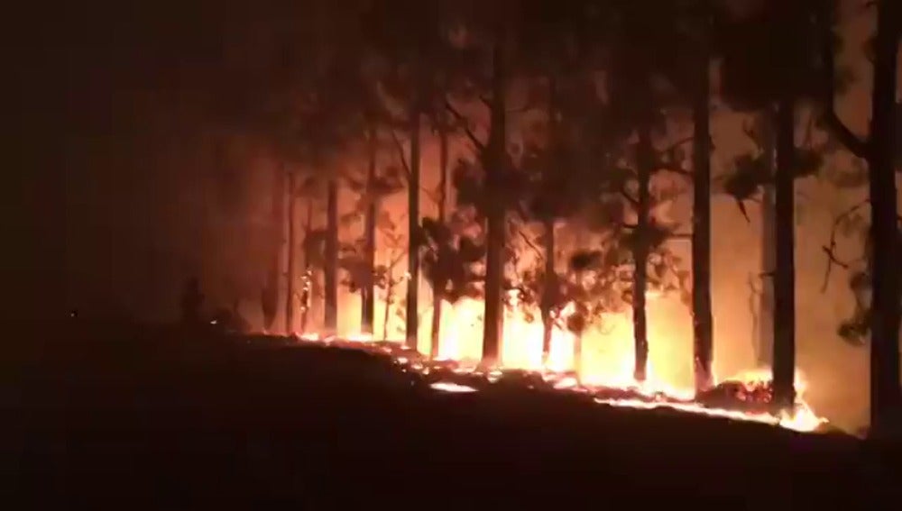 Incendio en Gran Canaria