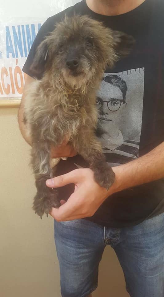 Ceuta en la Onda 28/09/17 Ceuta en la Onda 28/09/17