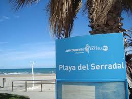 Castellón celebra el Día Mundial de las Aves con un taller de cajas nido en la playa del Serradal Castellón celebra el Día Mundial de las Aves con un taller de cajas nido en la playa del Serradal